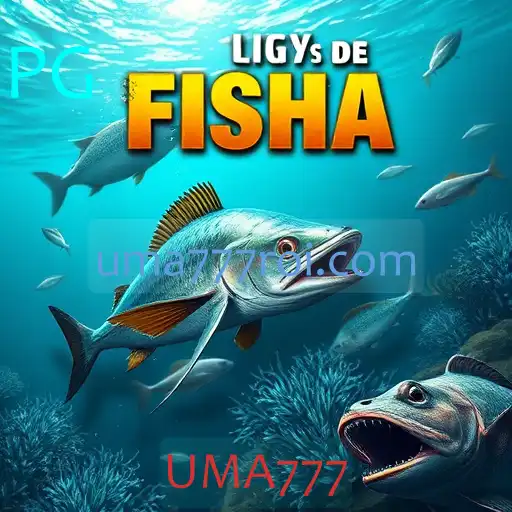 Jogos de pesca
