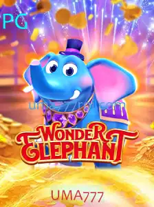 Descubra o Fascinante Mundo de WonderElephant: Uma Jornada Entretenida e Educativa